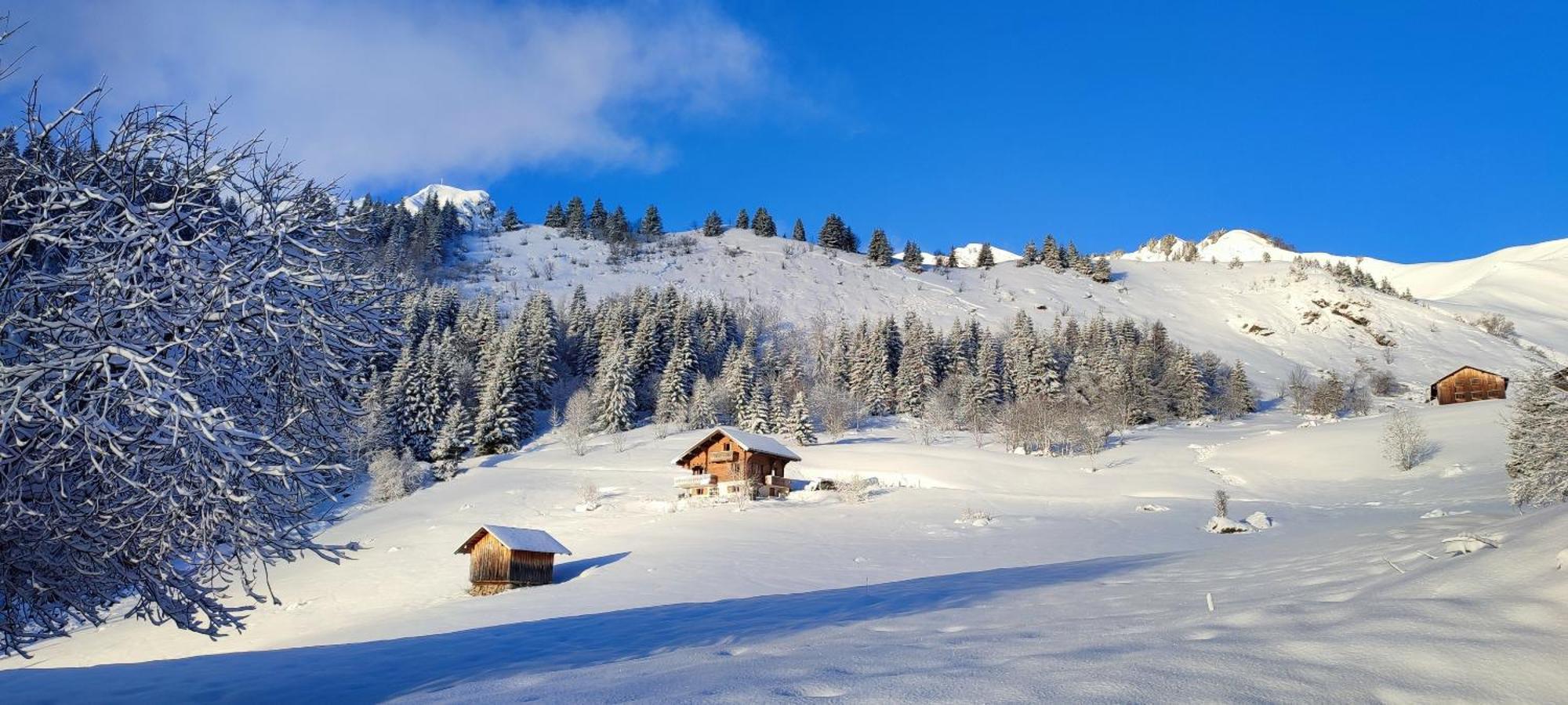 Le Taconet Hotel Le Praz de Lys Eksteriør billede
